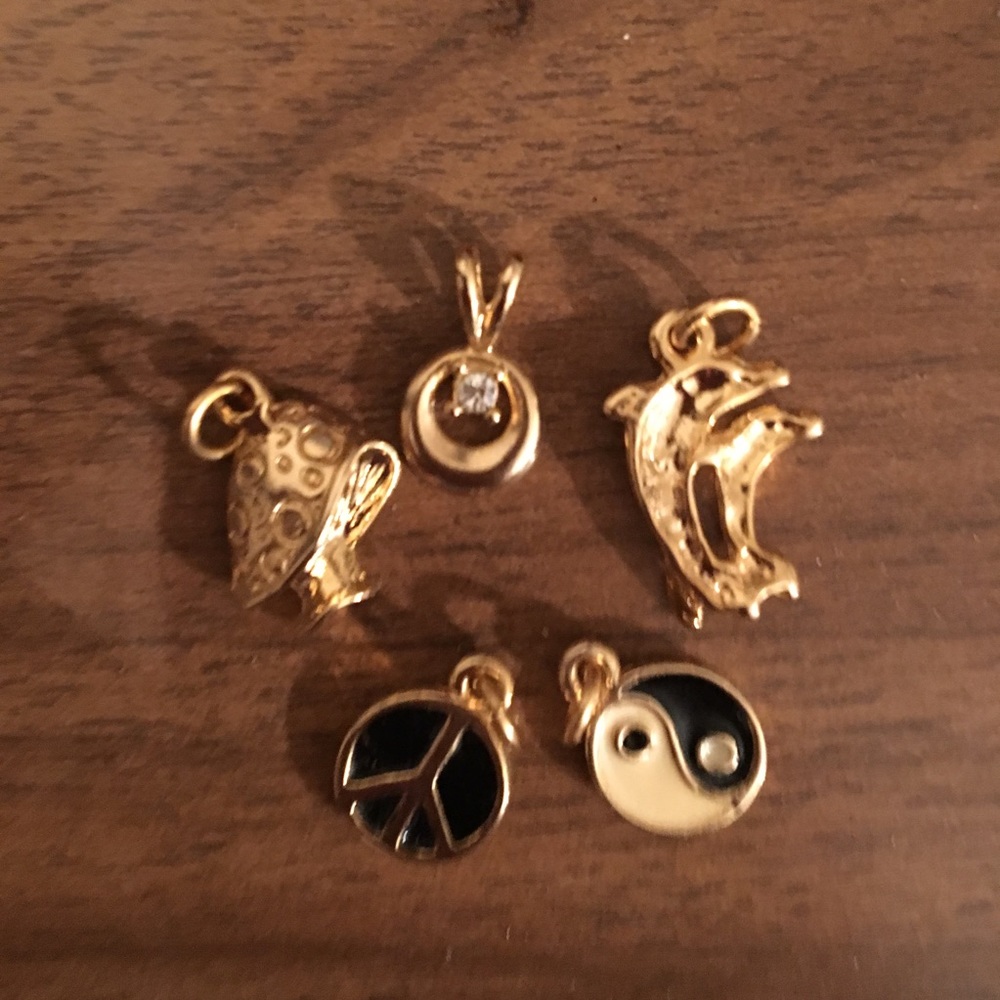 Five miscellaneous bracelet/necklace charms